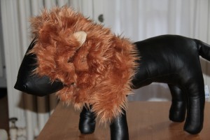lion dog costume